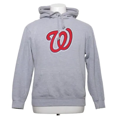Sweat à capuche (Gris) de Majestic Coton, Polyester