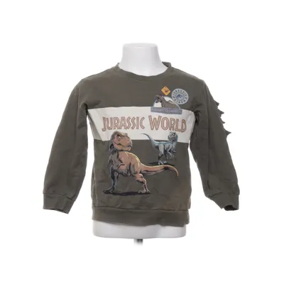 Sweatshirt (Grøn, Hvid, Brun) fra Jurassic World Bomuld