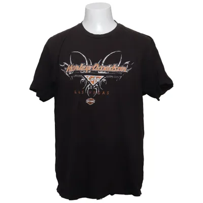T-shirt (Svart) från Harley Davidson