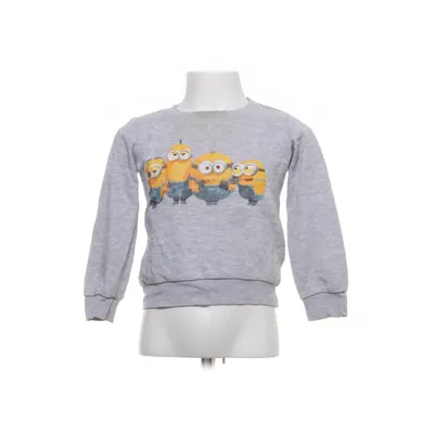 Sweatshirt (Gray, Multicolored) from Illumination Polyester, Viscose, Wool