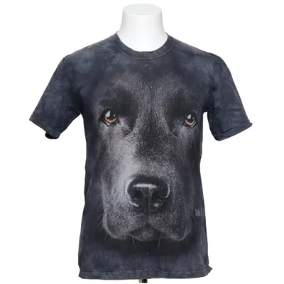T-shirt (Gray) from The Mountain Cotton
