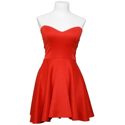 Cocktailjurk (Rood) van Style Plus