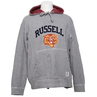 Hoodie (Gray, Multicolored) from Russell Athletic Cotton