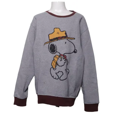 Collegetröja (Grå, Brun, Flerfärgad) från Zara x Peanuts