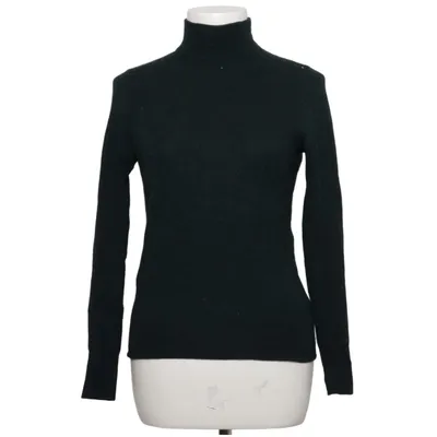 Turtleneck (Grøn) fra Paul Costelloe Merinould
