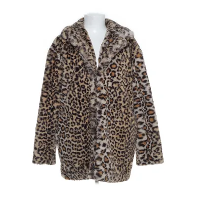 Jacket (Brown) from Stay Polyester