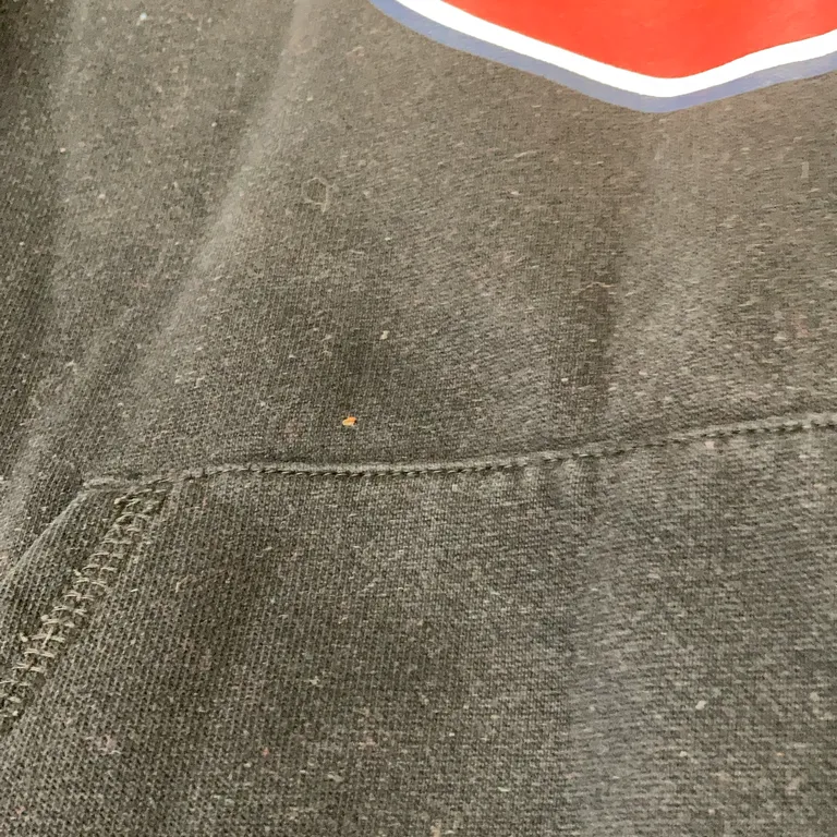 Huvtröja (Svart) från Dickies Polyester, Bomull - Defekt