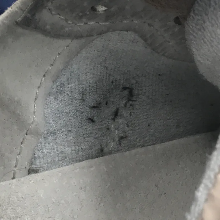 Sneakers (Svart, Beige) från Philip Hog - Defekt