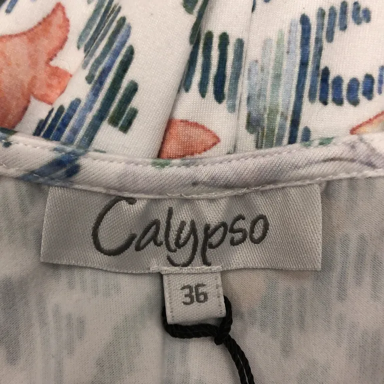 Långklänning (Flerfärgad) från Calypso Polyester - Varumärke