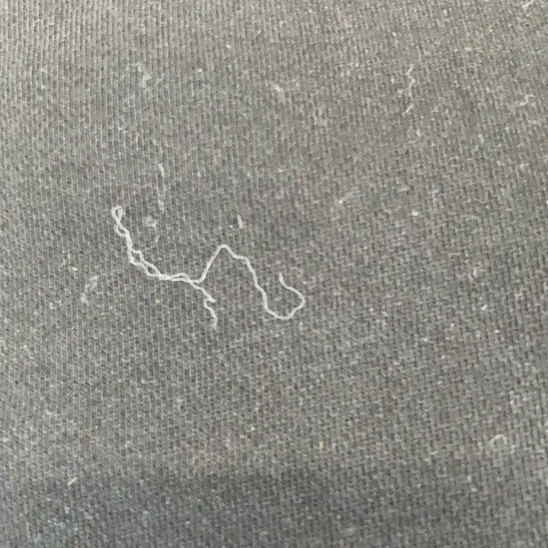 Huvtröja (Svart) från Wu Wear Polyester, Bomull - Defekt