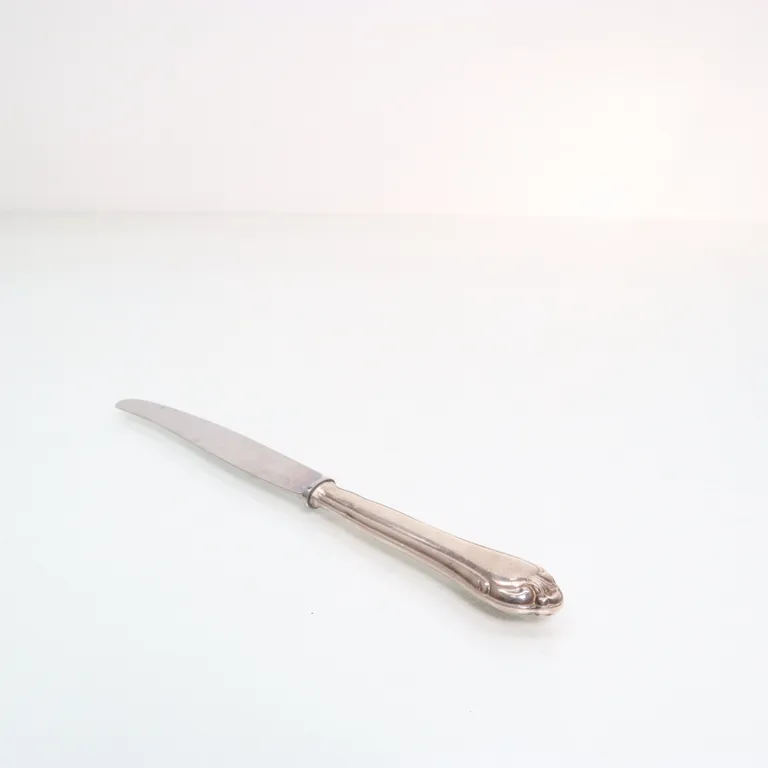 Kniv (Silverfärgad) från Jernbolaget Eskilstuna - Vinkel 2