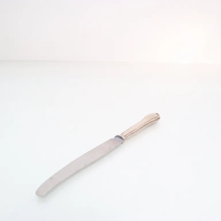 Kniv (Silverfärgad) från Jernbolaget Eskilstuna - Vinkel 3