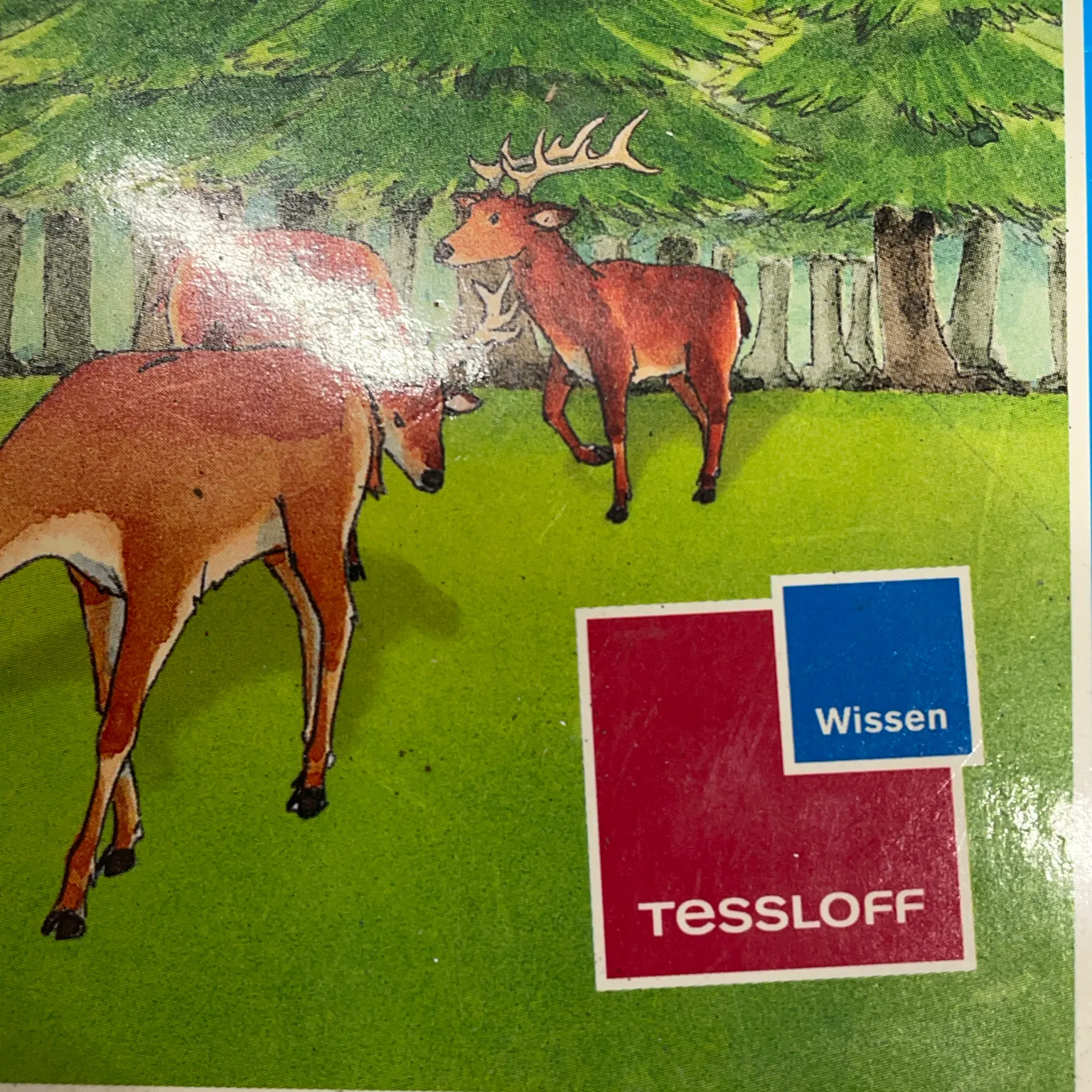 Was Ist Was - bild 4