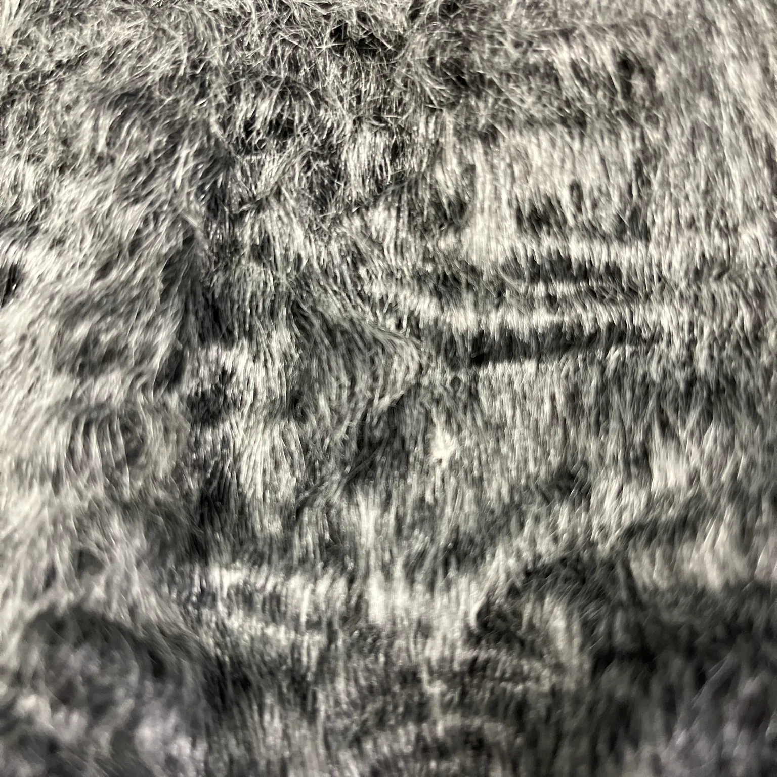 Christina Rohde - bild 4