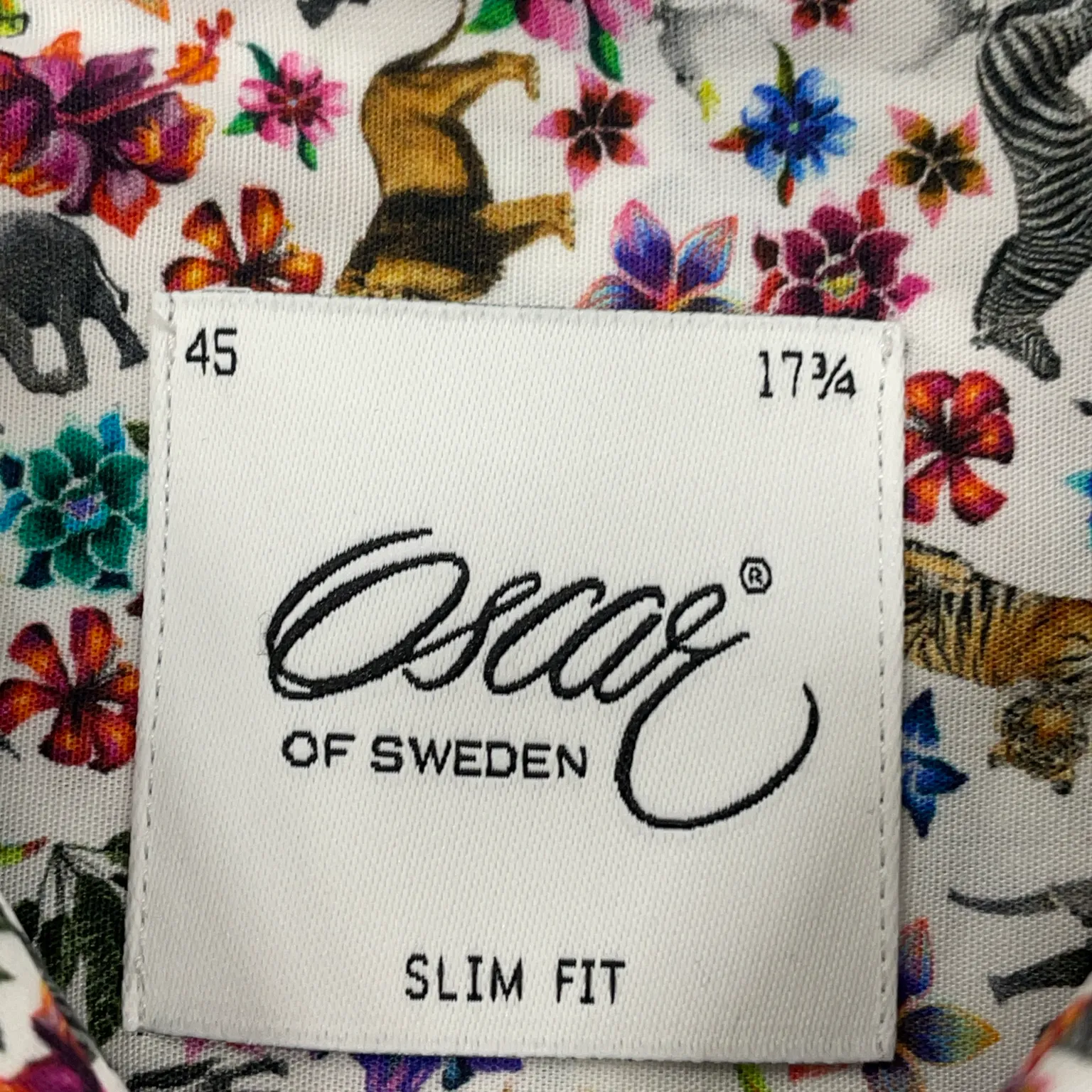 Oscar of Sweden - bild 3