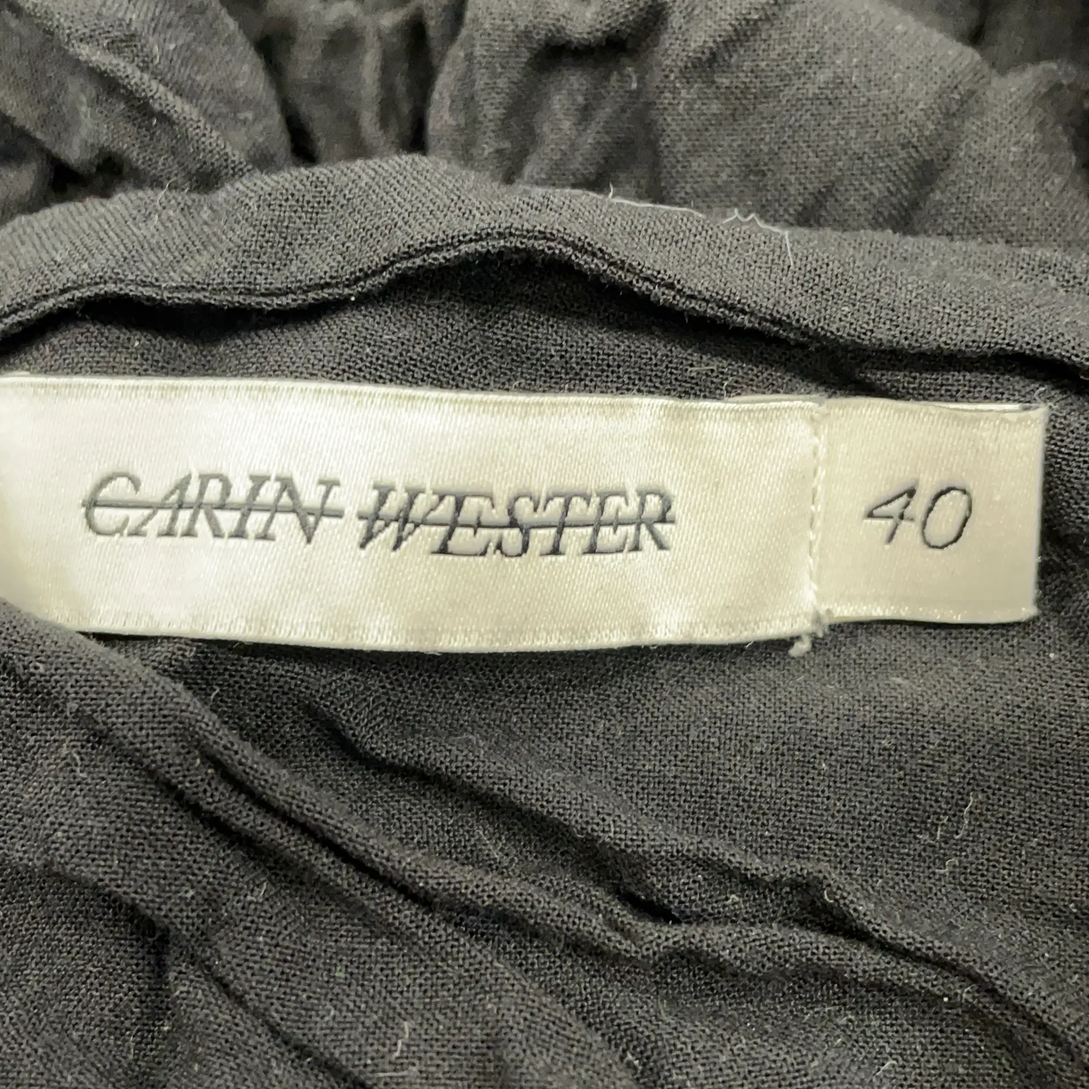 Carin Wester - bild 3