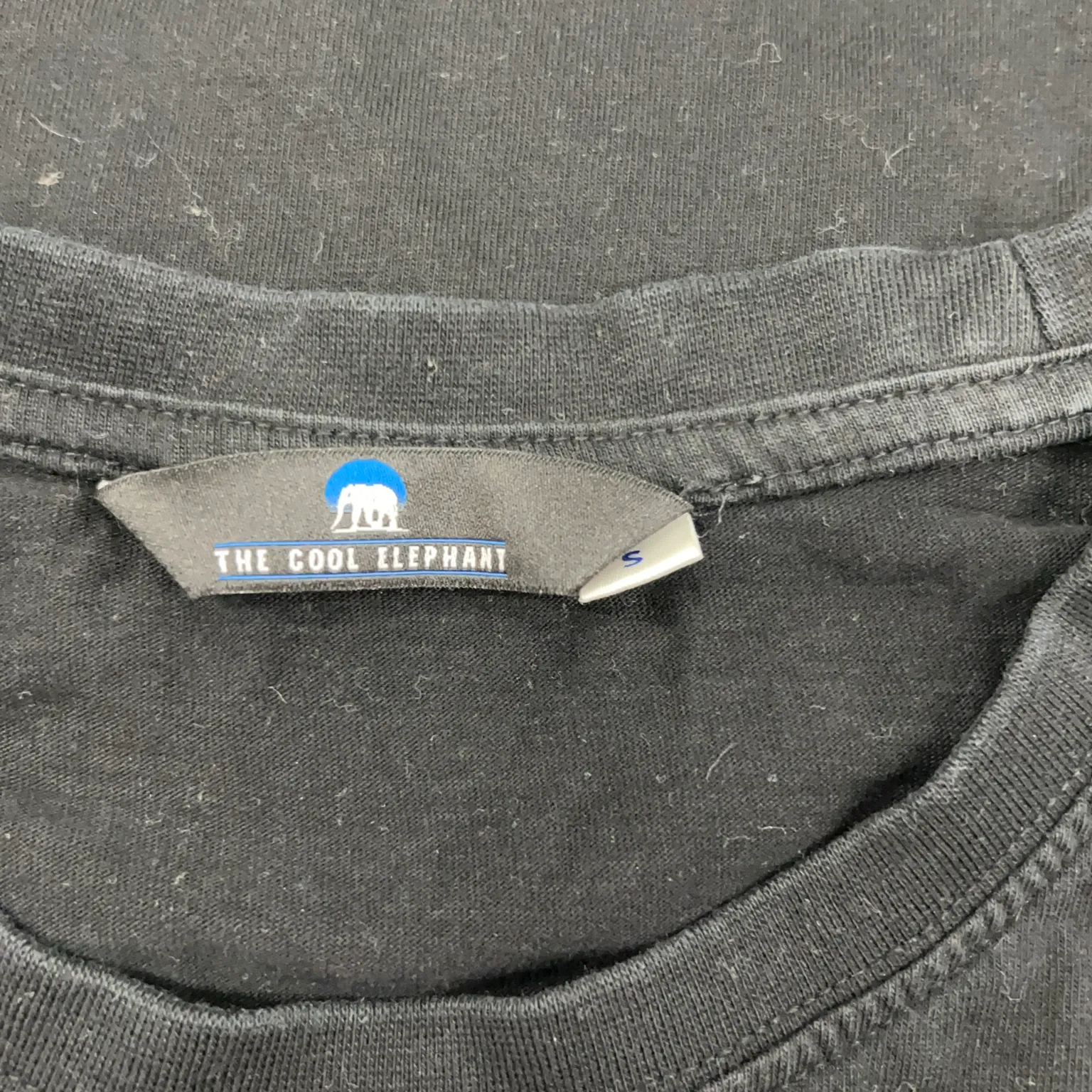 The Cool Elephant - bild 3