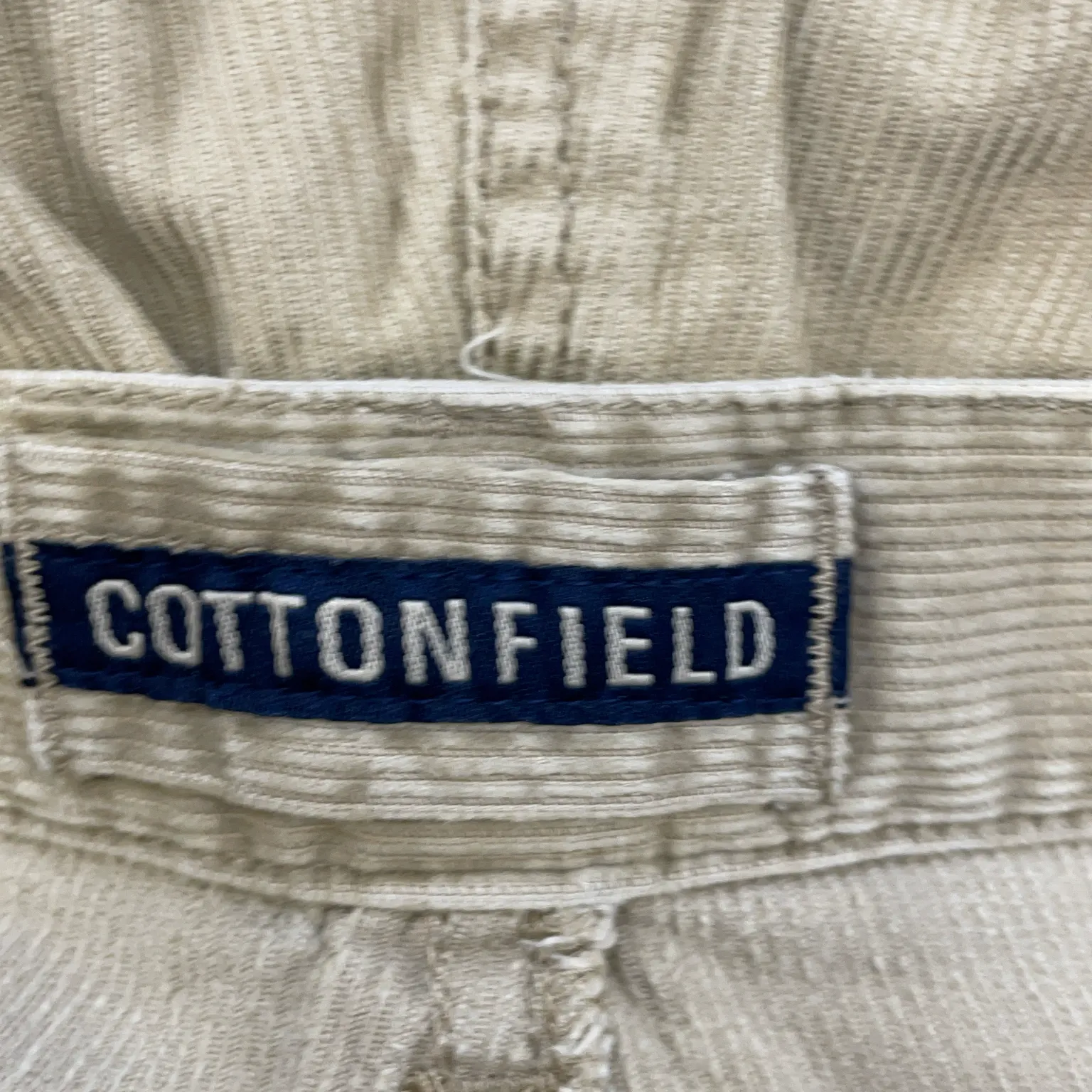 Cottonfield - bild 3