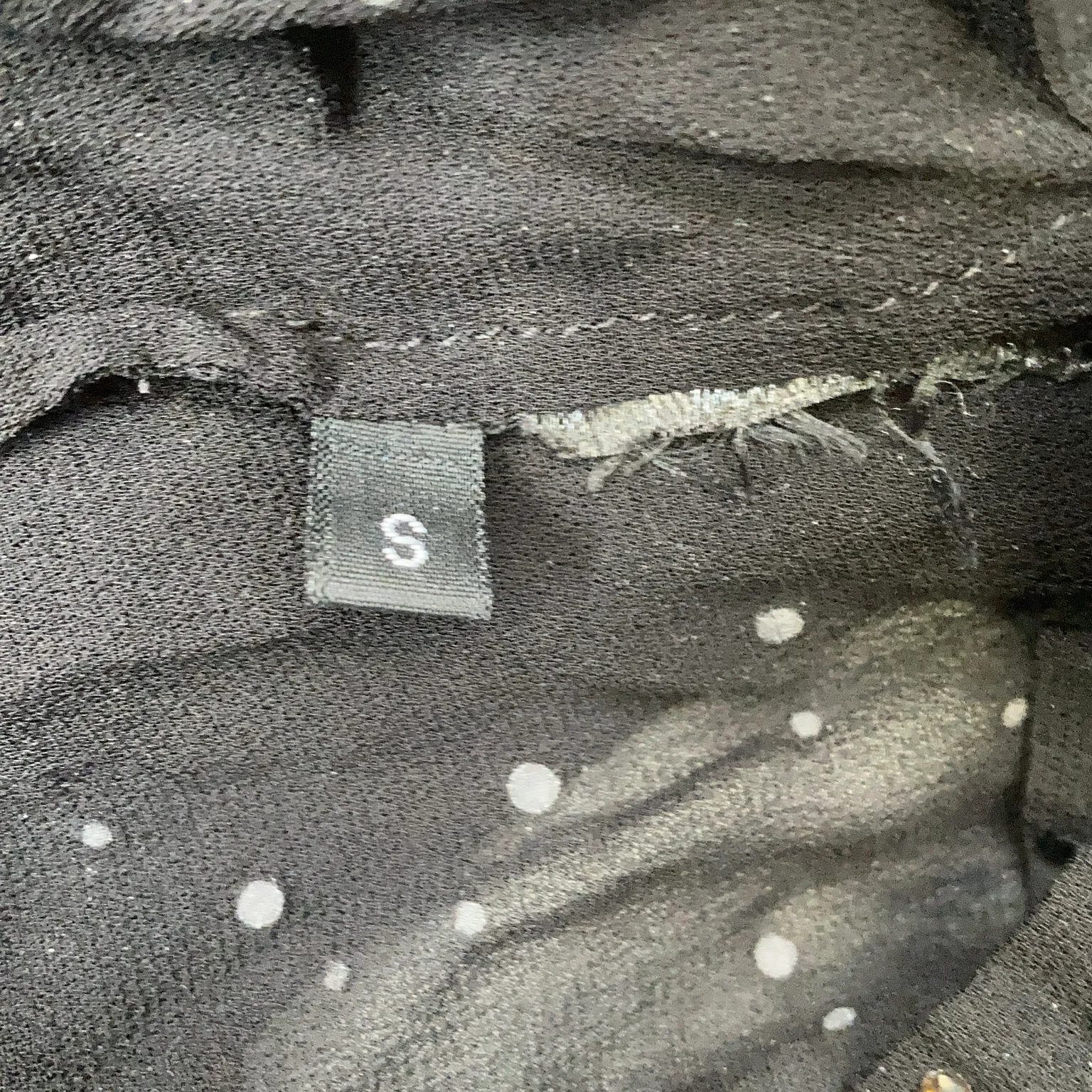 Stella Nova - bild 4