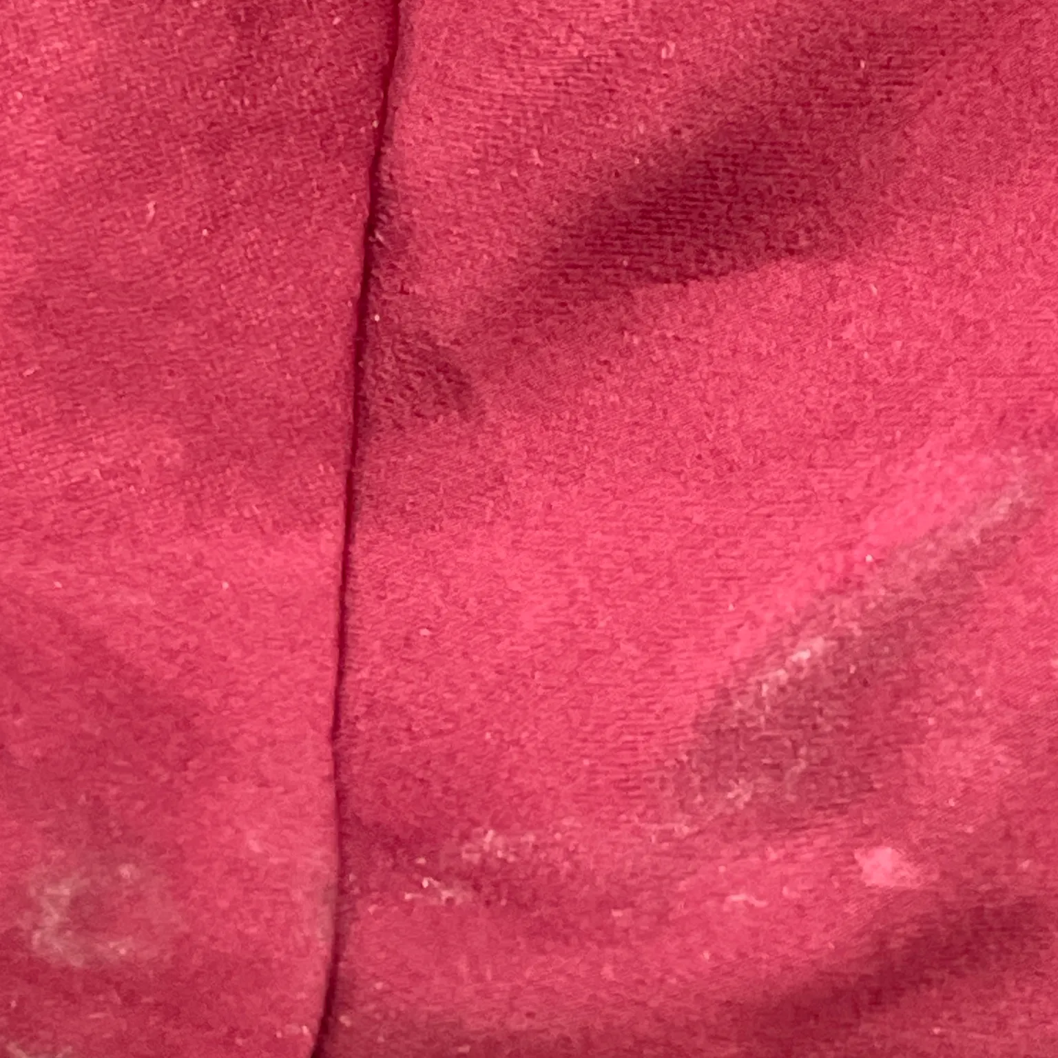 Chiara Forthi - bild 4