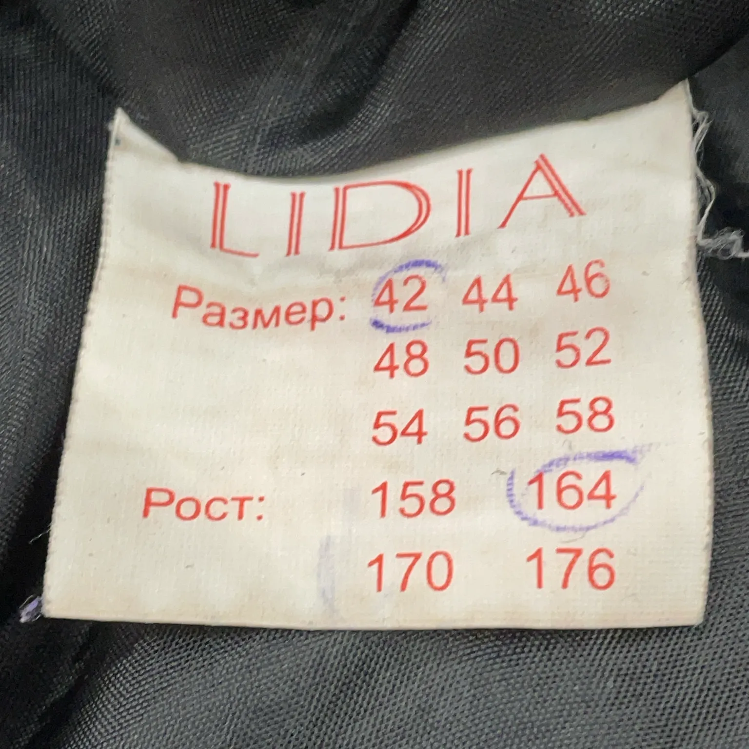 Lidia - bild 3