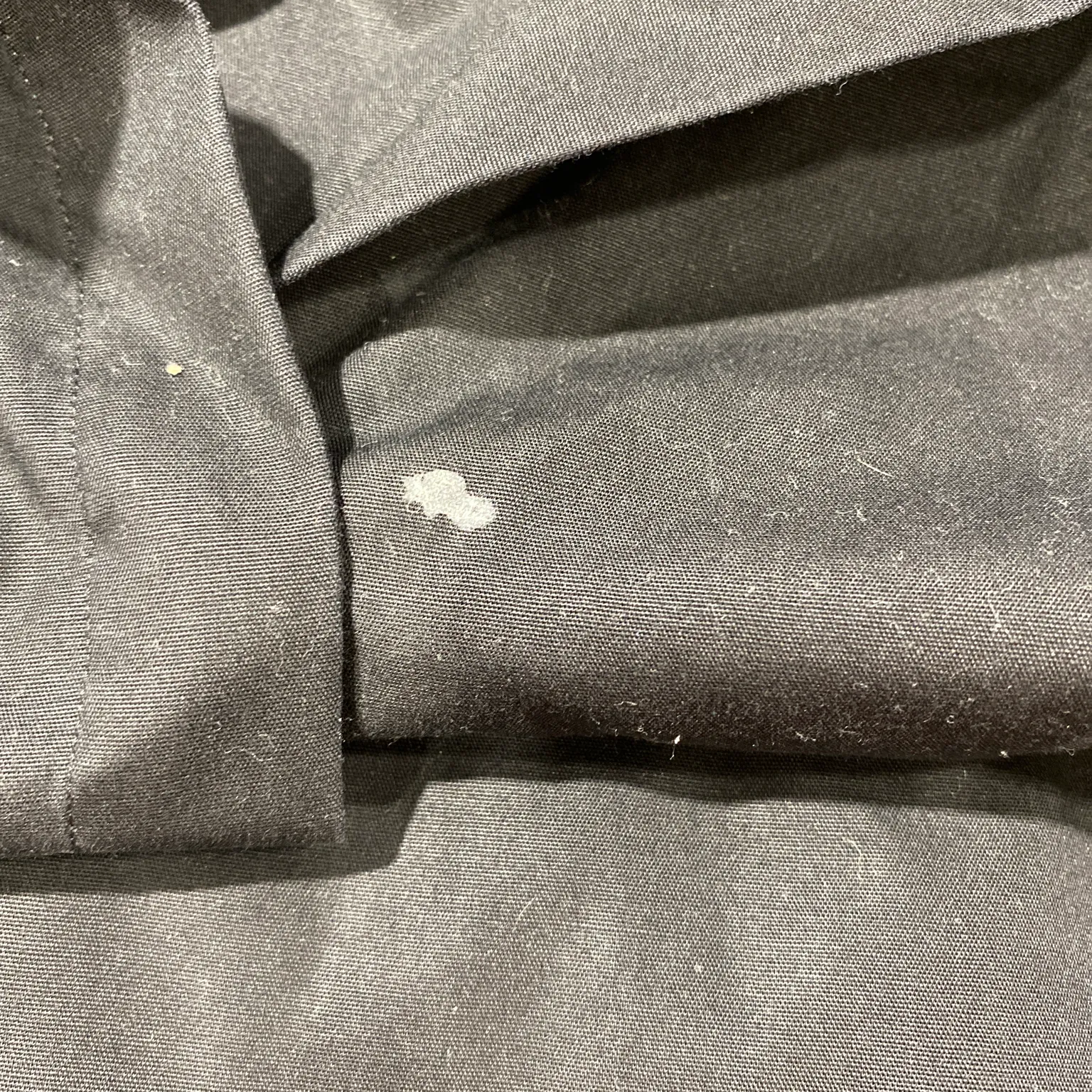 Eterna Excellent - bild 4