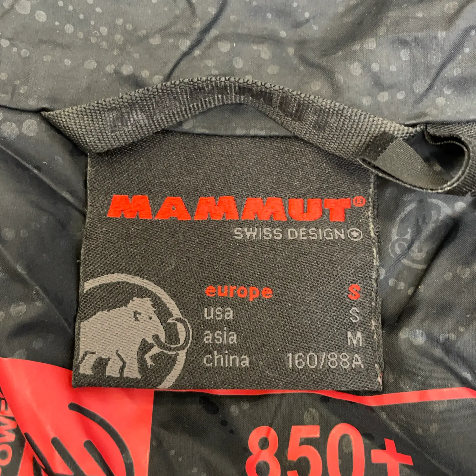 Mammut - bild 3