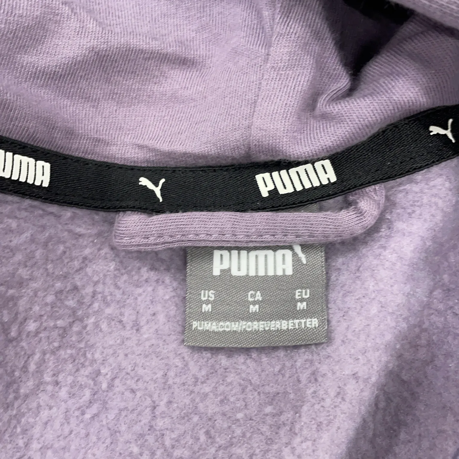 Puma - bild 3