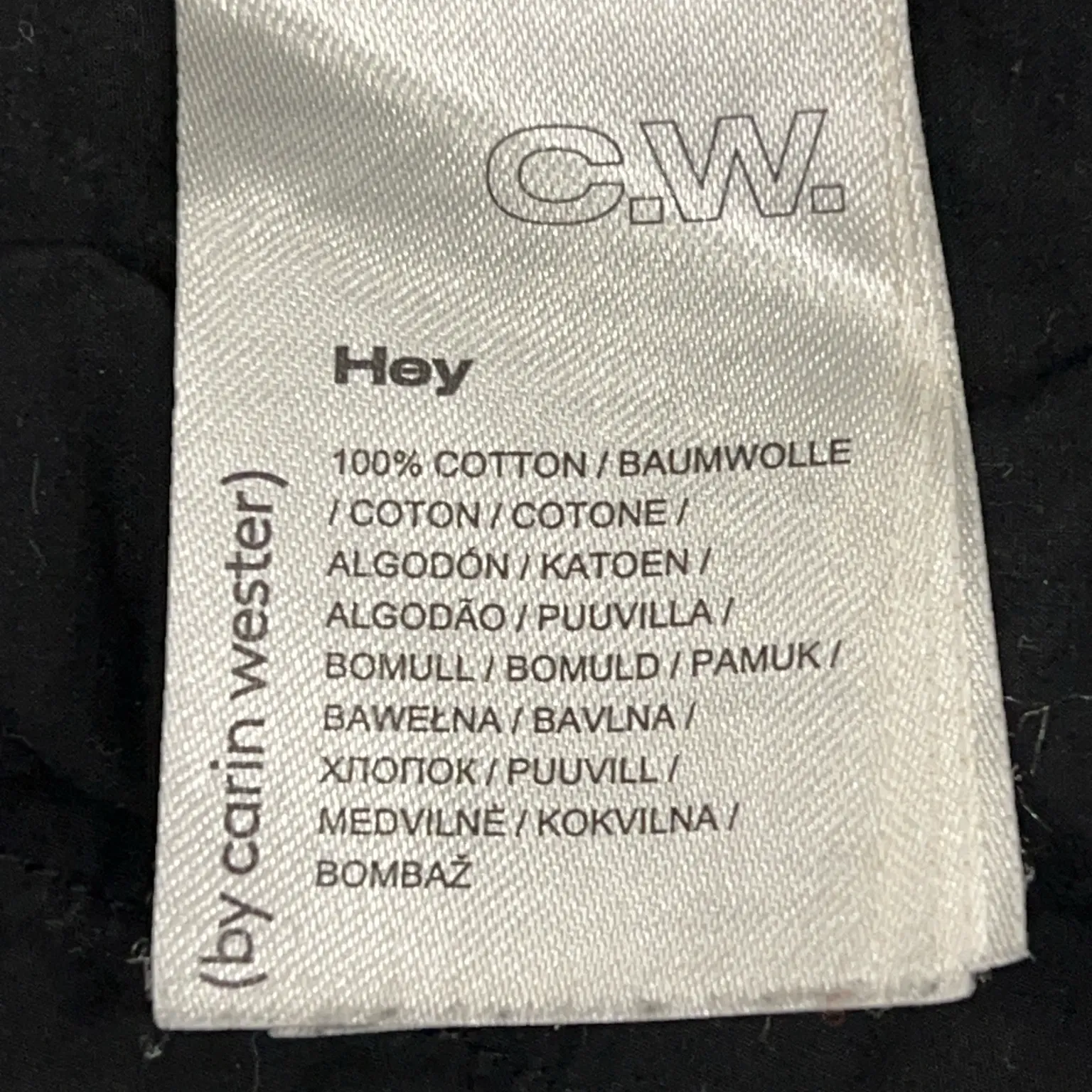 Carin Wester - bild 4