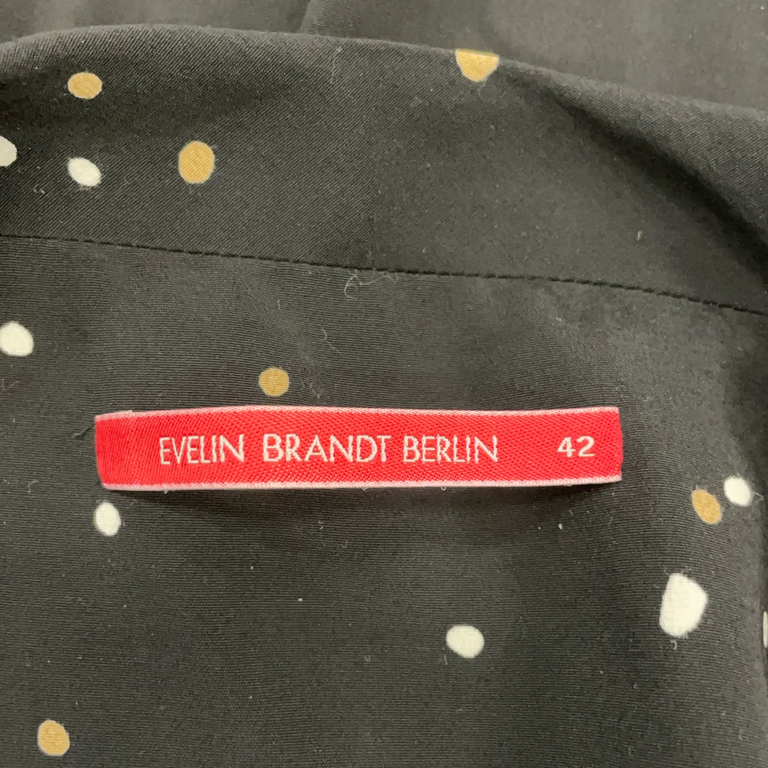 Evelin Brandt - bild 3