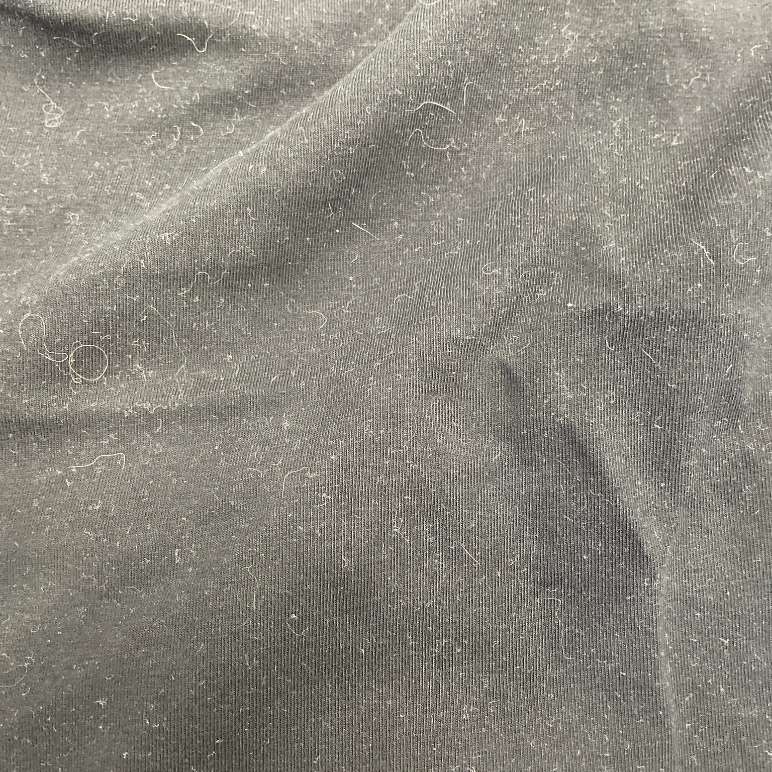 Rene Robert - bild 4