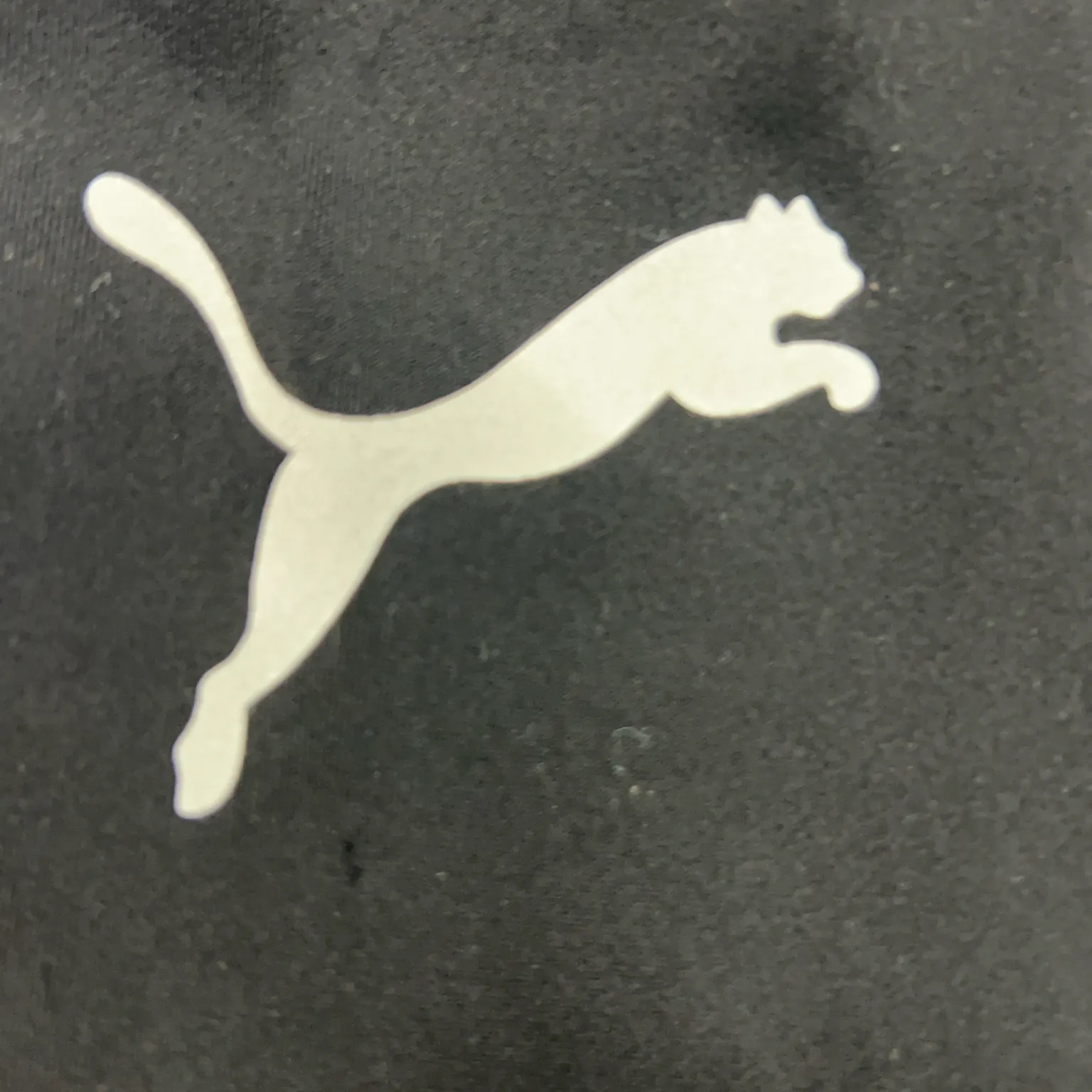 Puma - bild 3