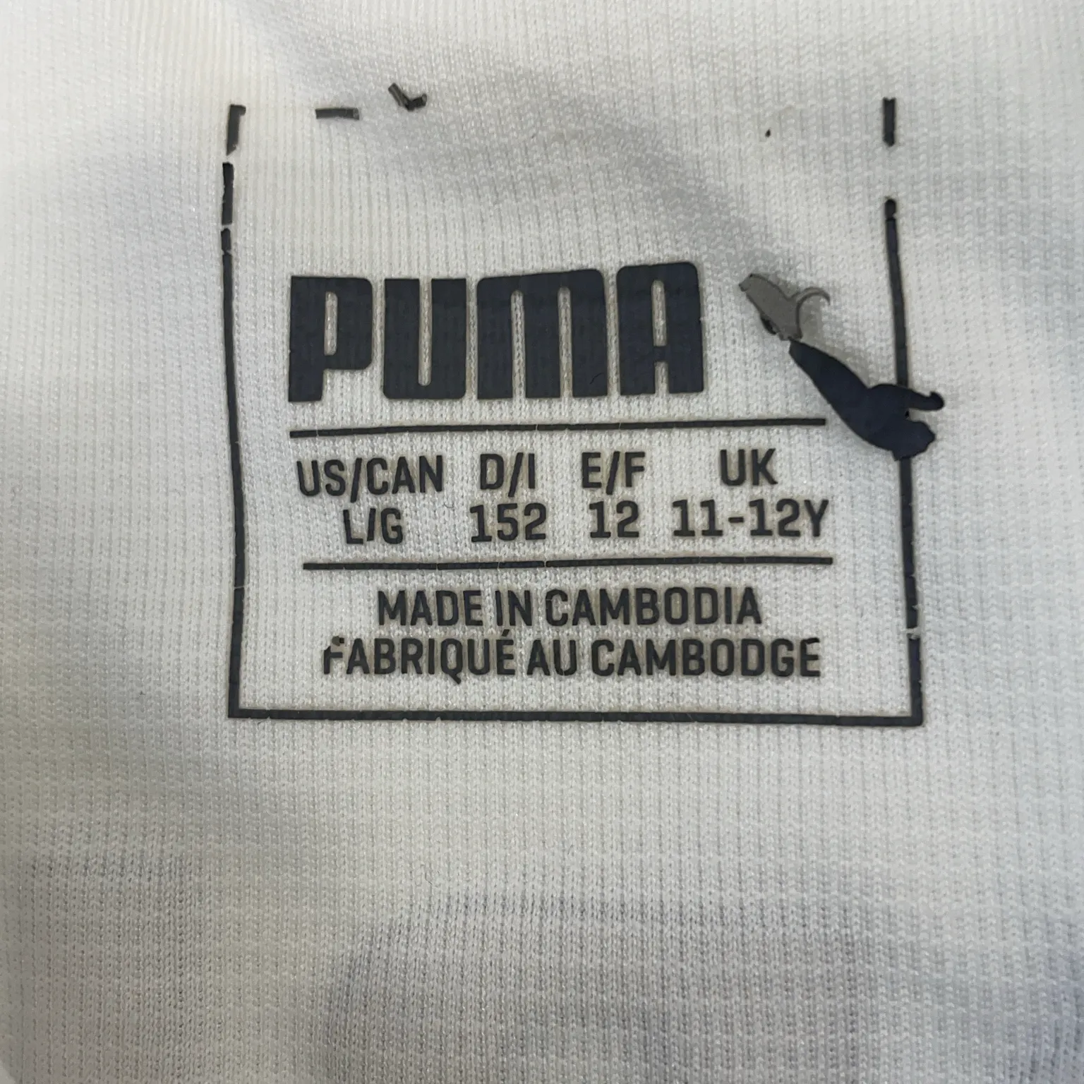 Puma - bild 3