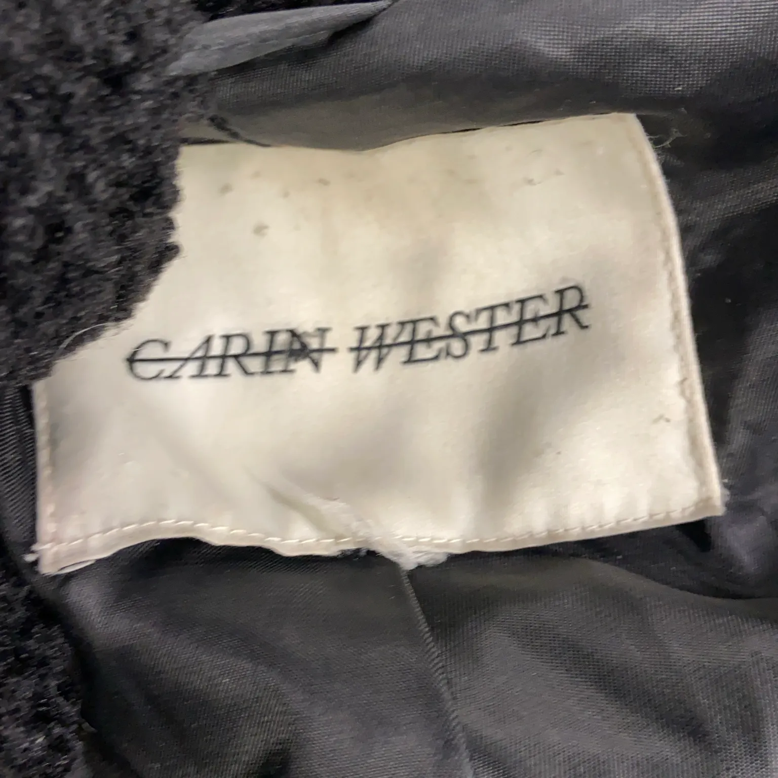 Carin Wester - bild 3