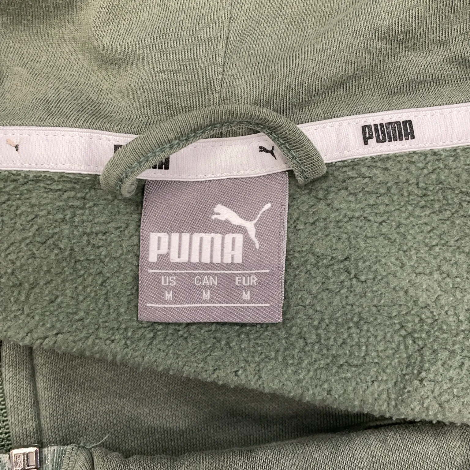 Puma - bild 3