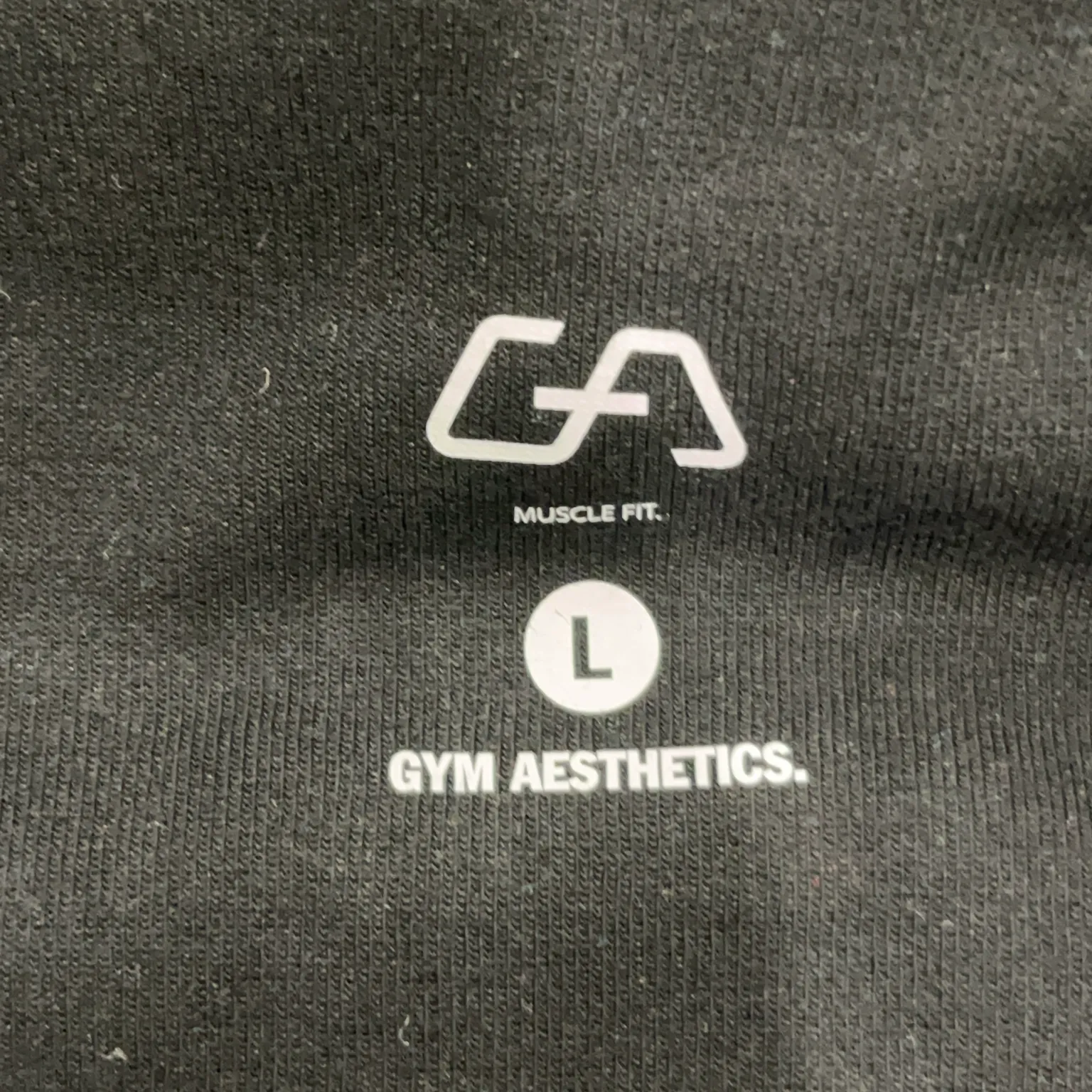 Gym Aesthetics - bild 3