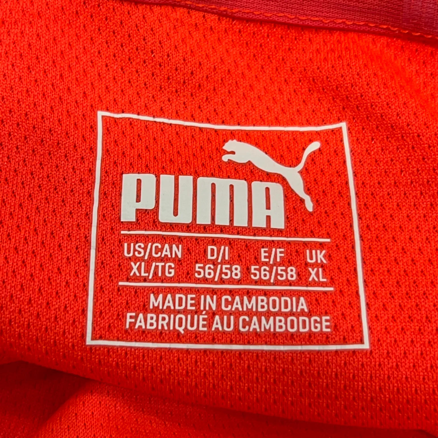 Puma - bild 4