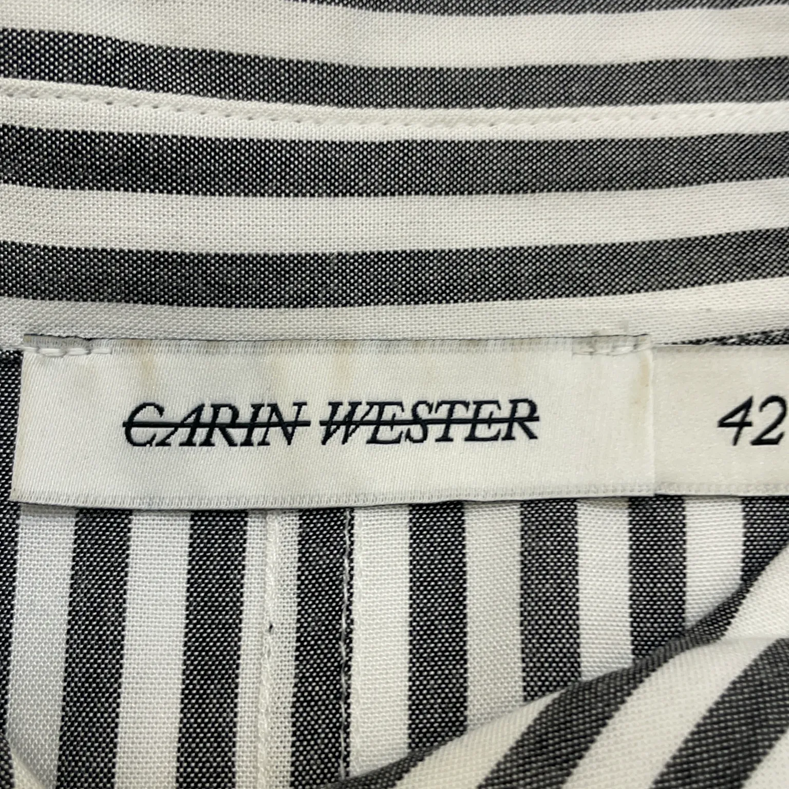 Carin Wester - bild 3