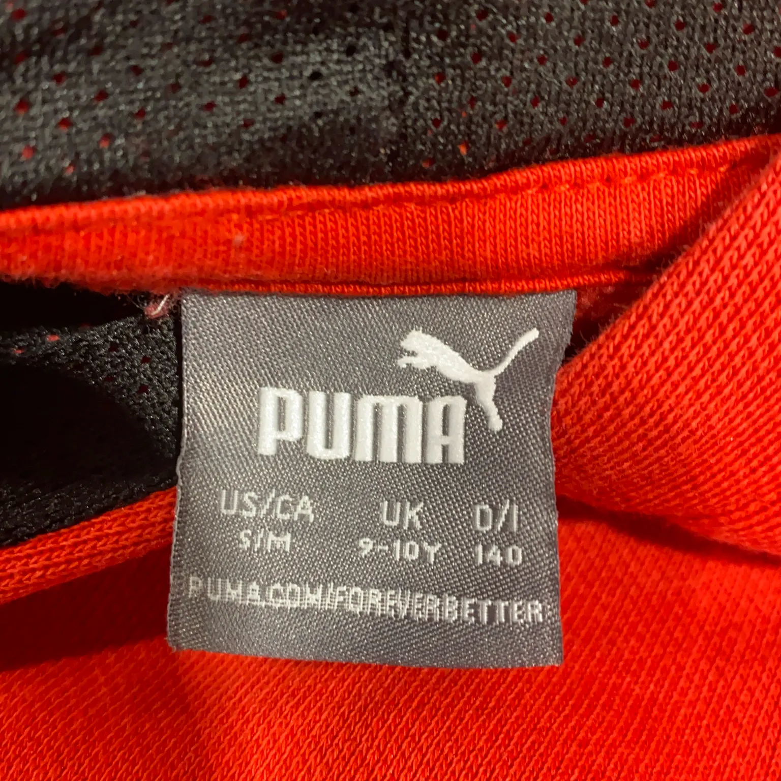 Puma - bild 3