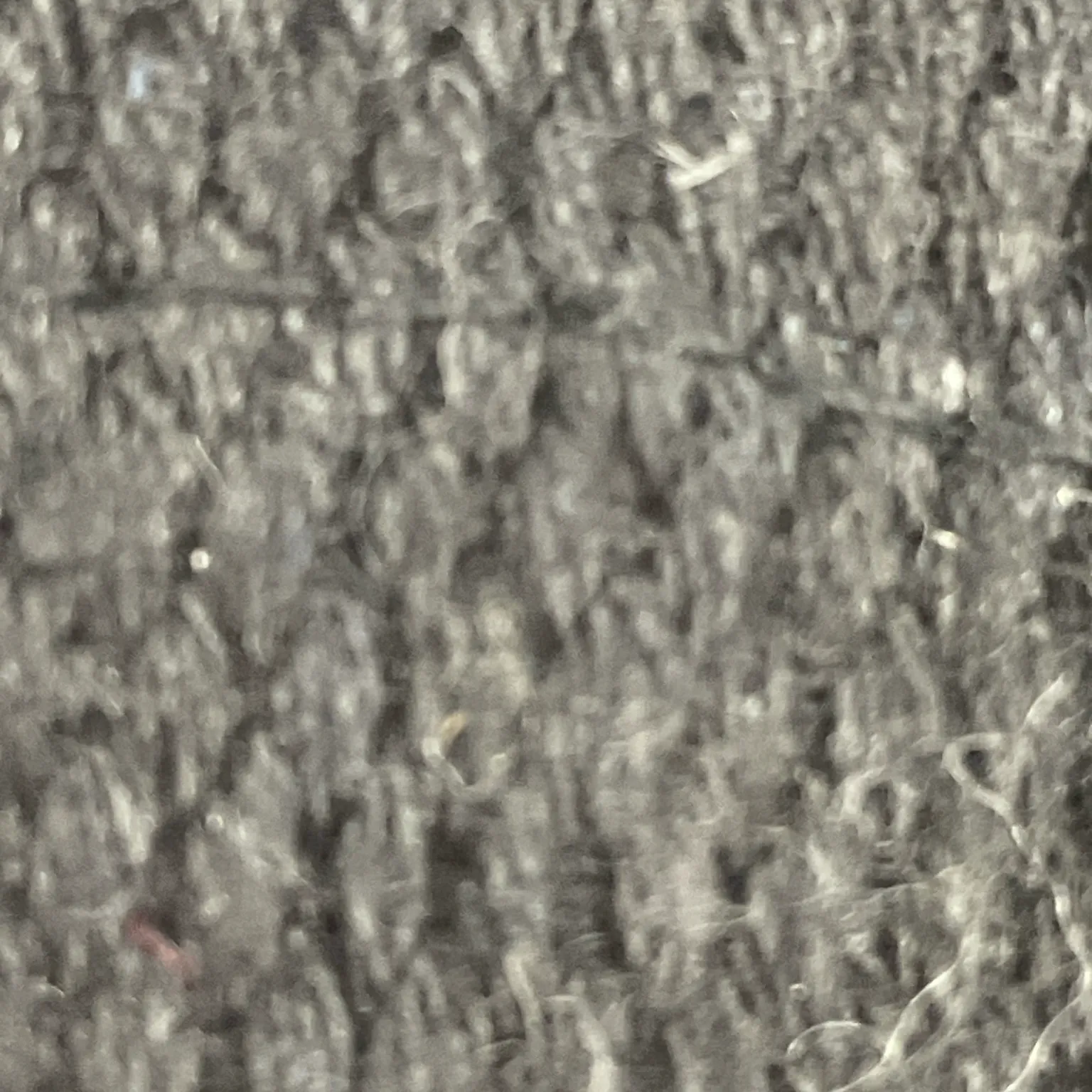 Better Bodies - bild 4