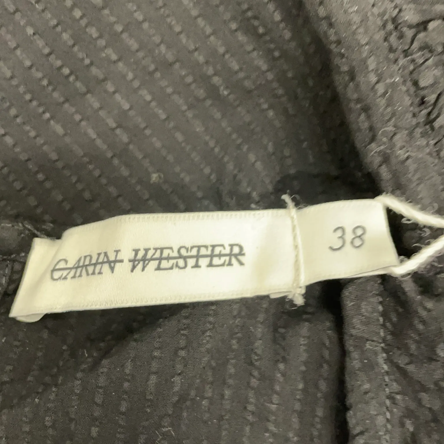 Carin Wester - bild 3