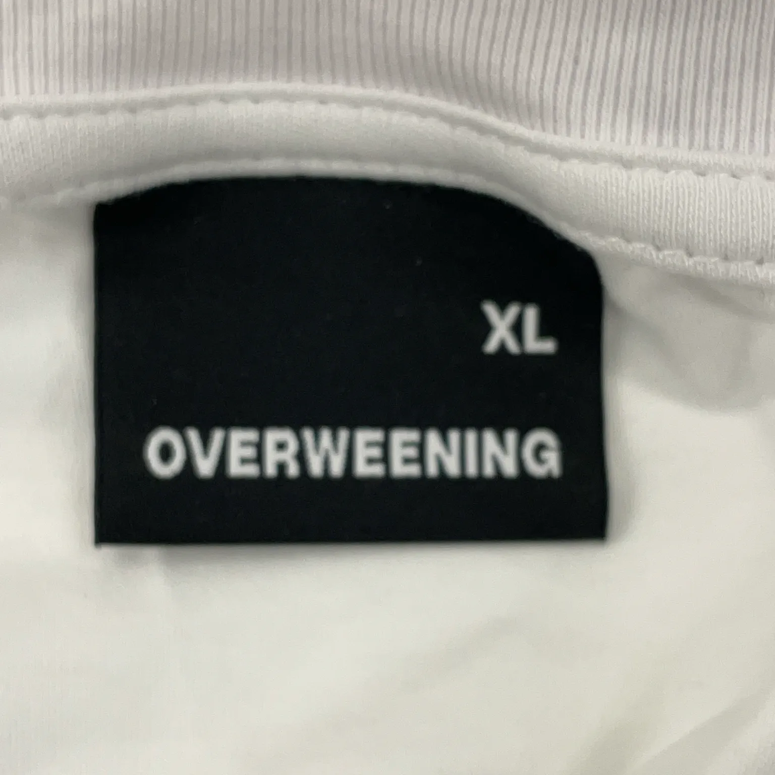 Overweening - bild 3