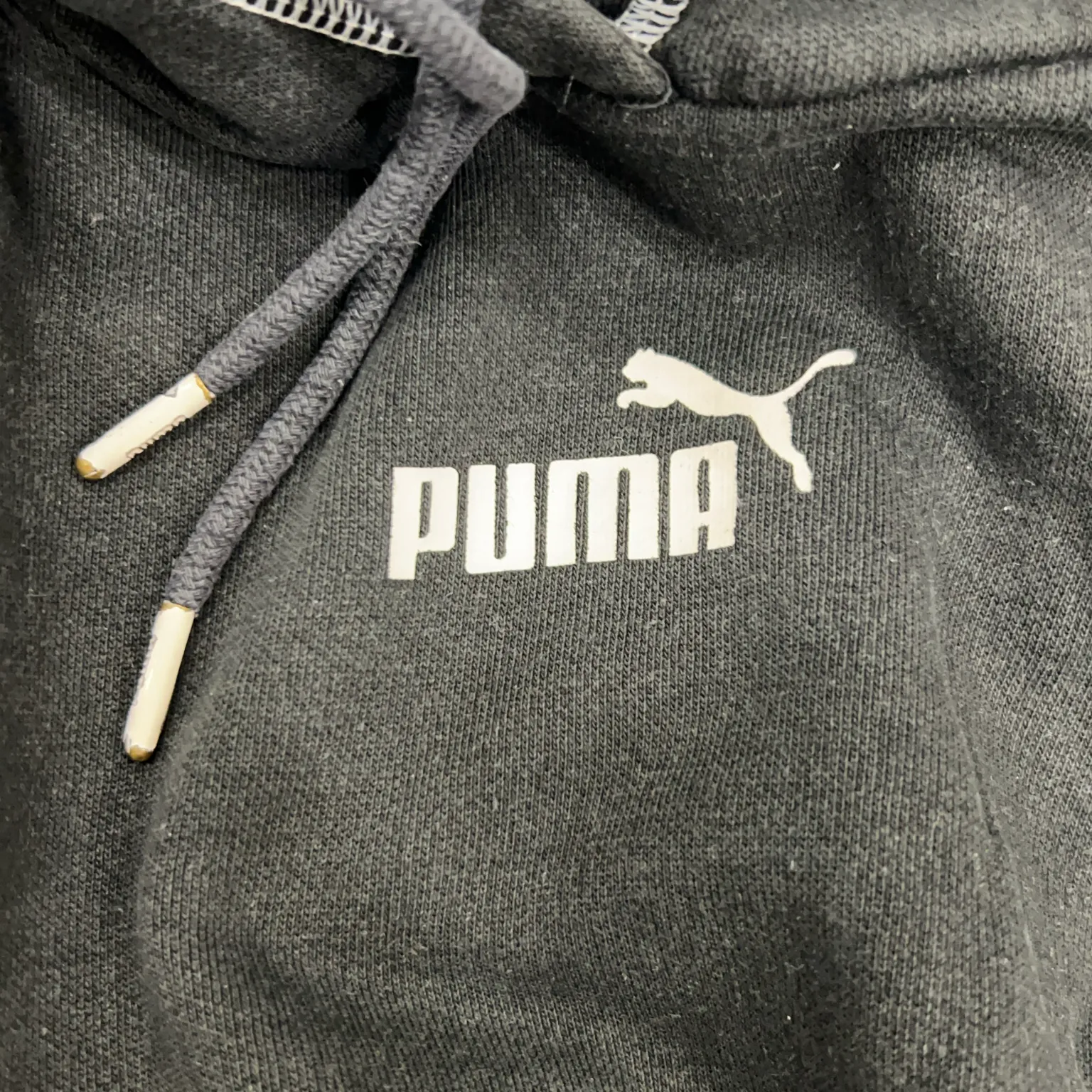 Puma - bild 3