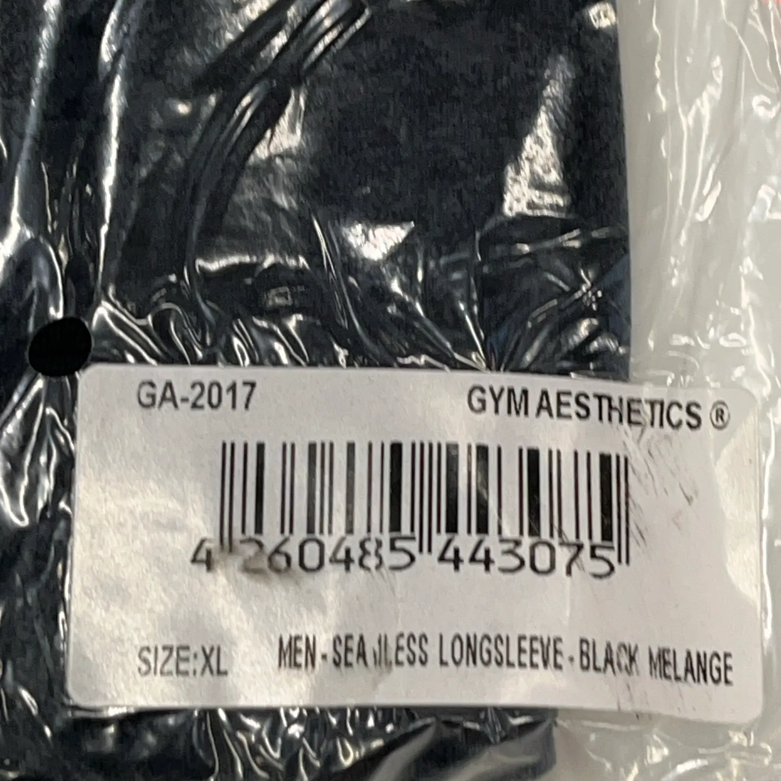 Gym Aesthetics - bild 3