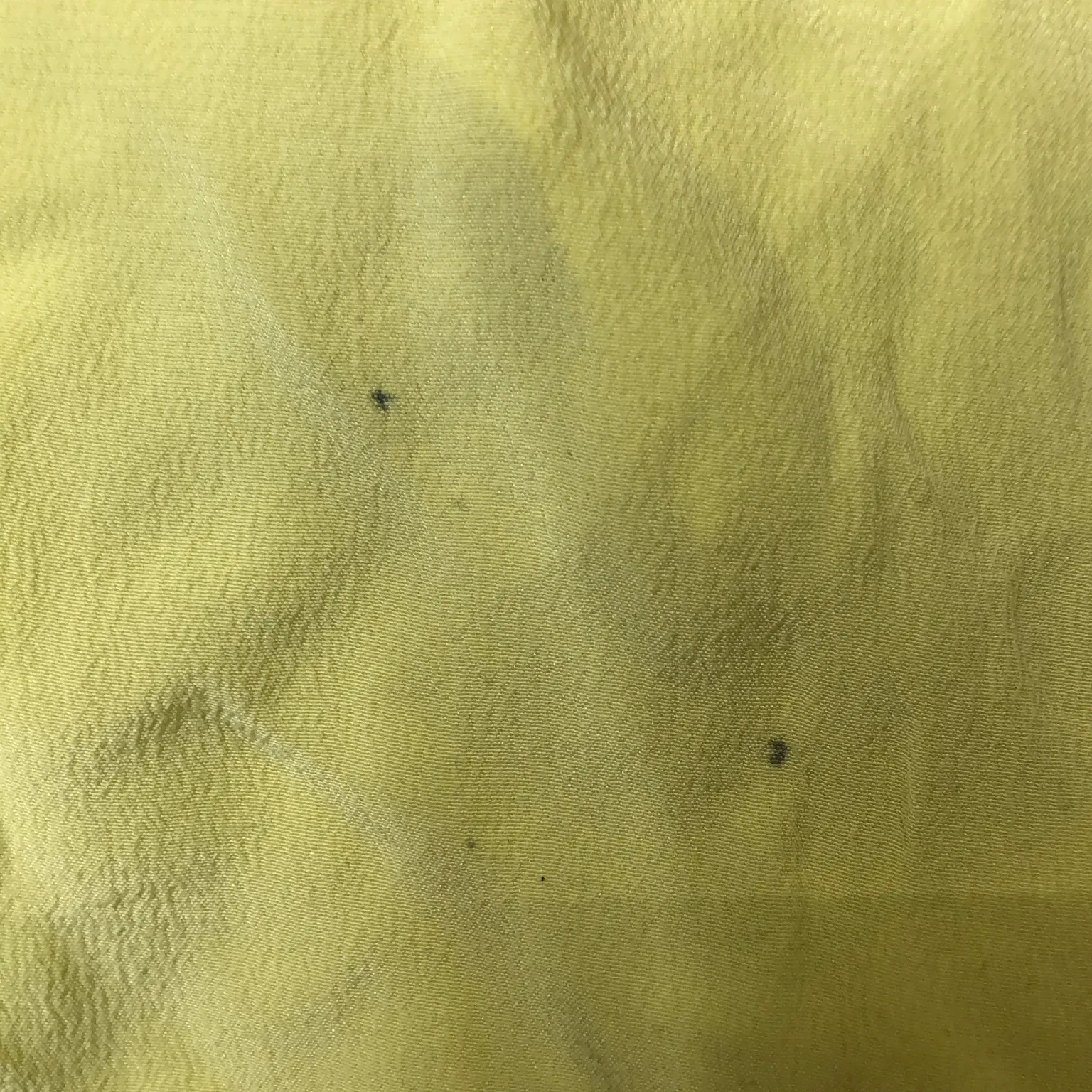 Alexander Wang - bild 4