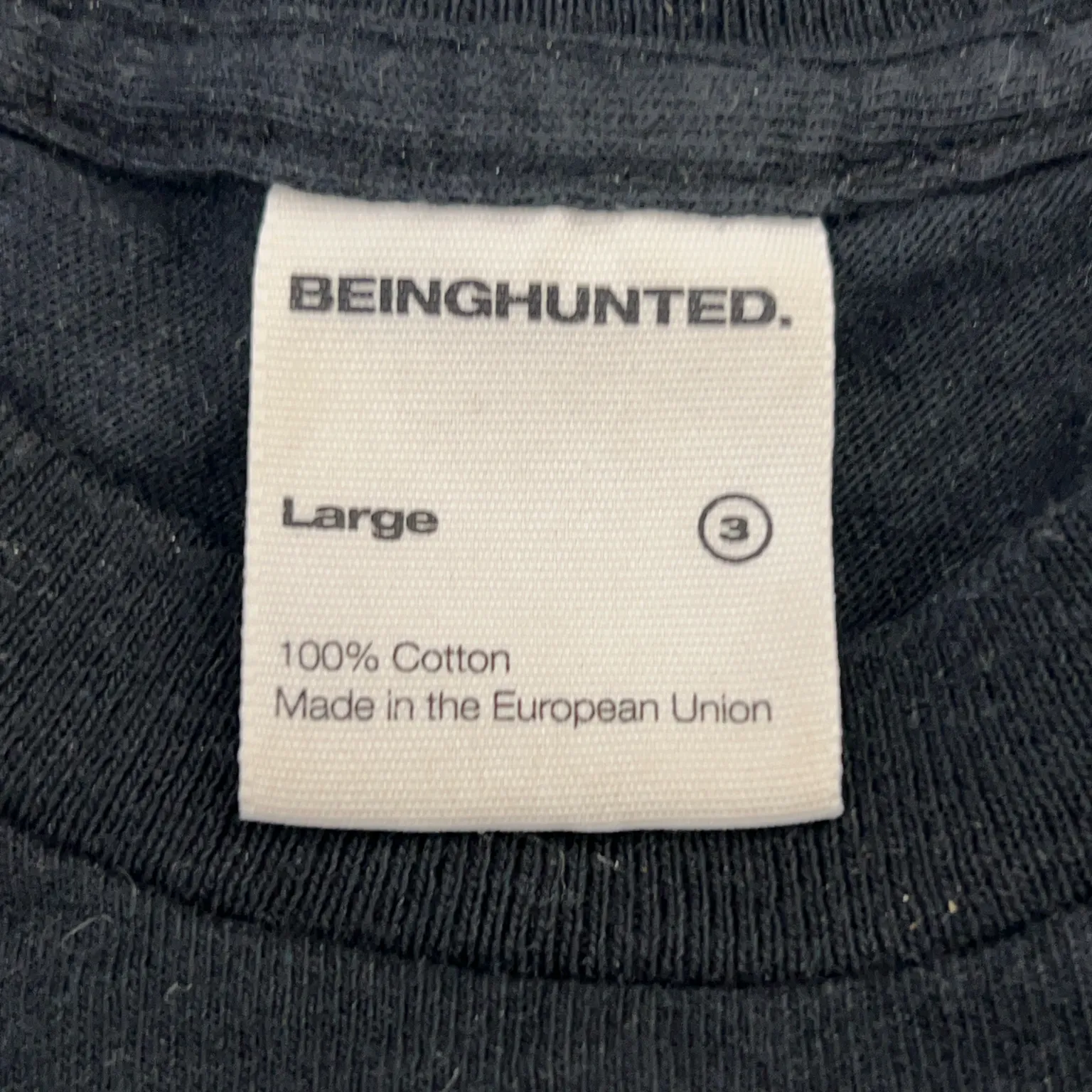 Beinghunted - bild 3