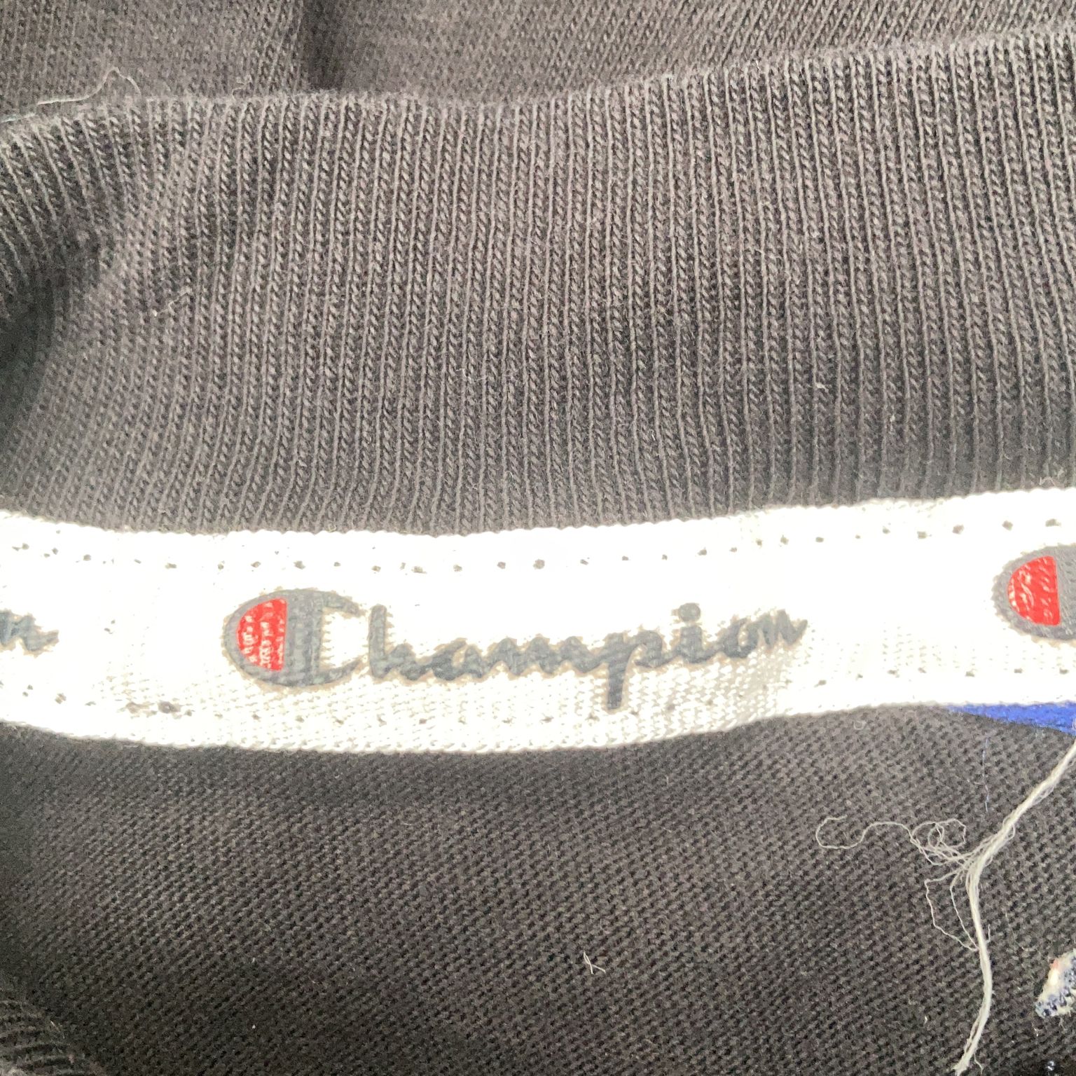 Champion