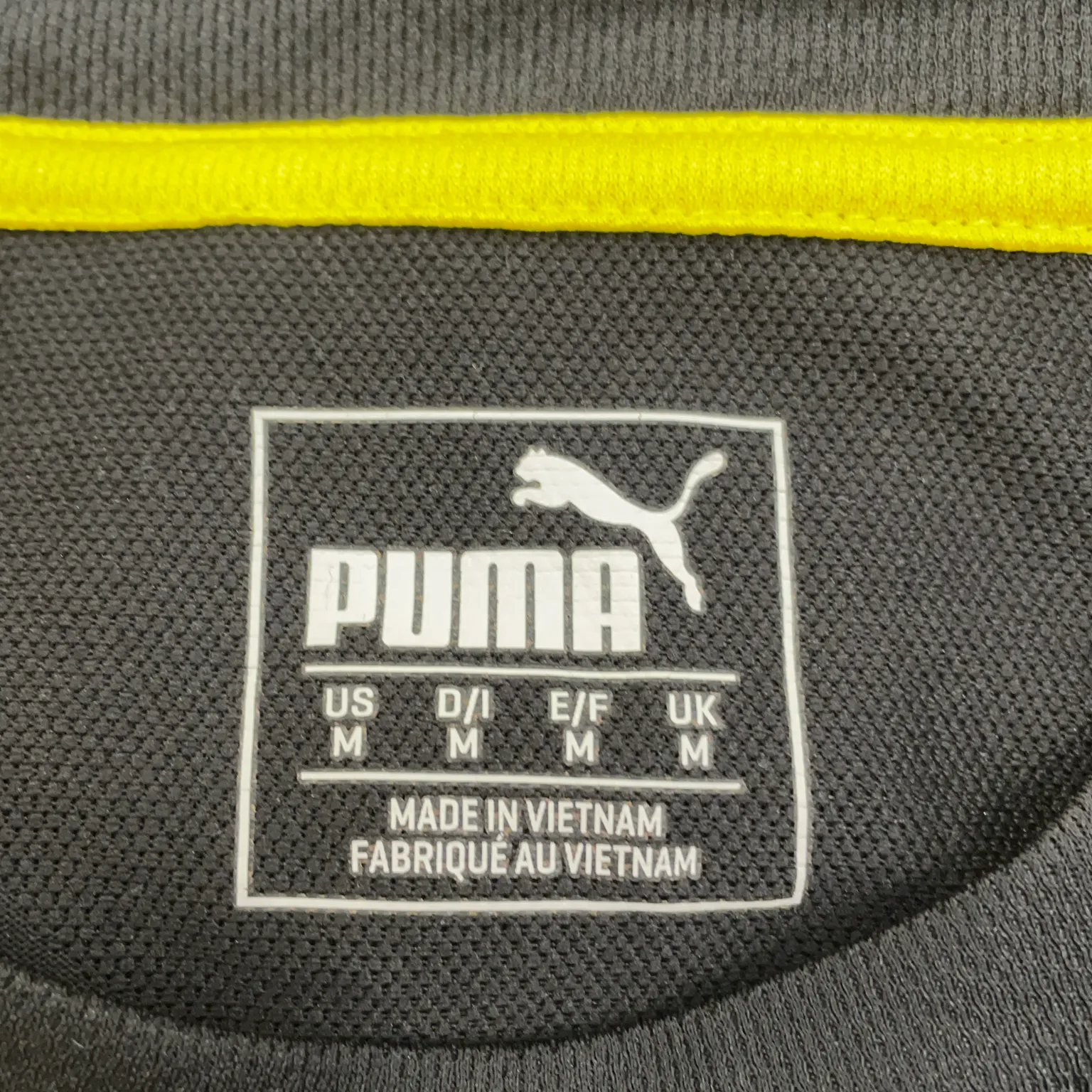 Puma - bild 3