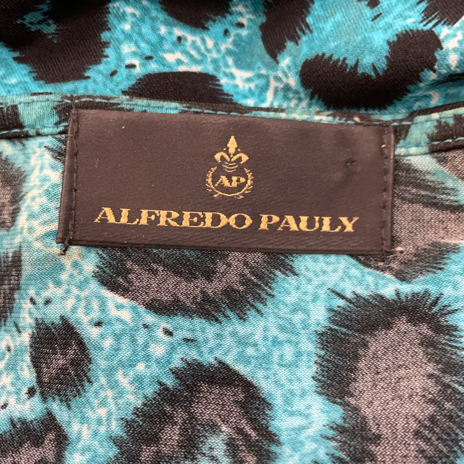 Alfredo Pauly - bild 4