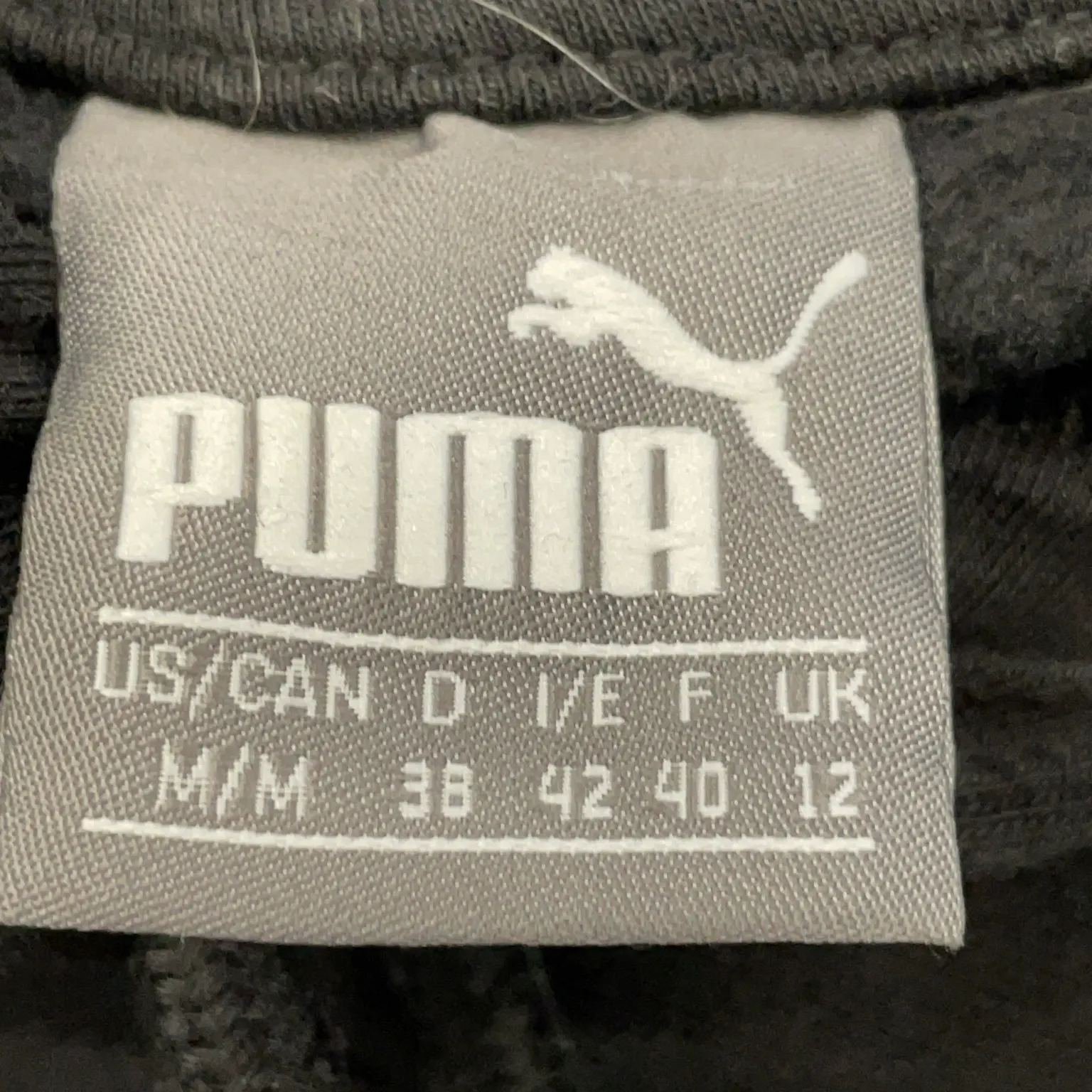 Puma - bild 3
